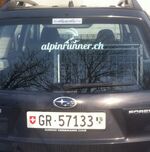 Alpinrunner Logo auf der Auto-Heckscheibe
